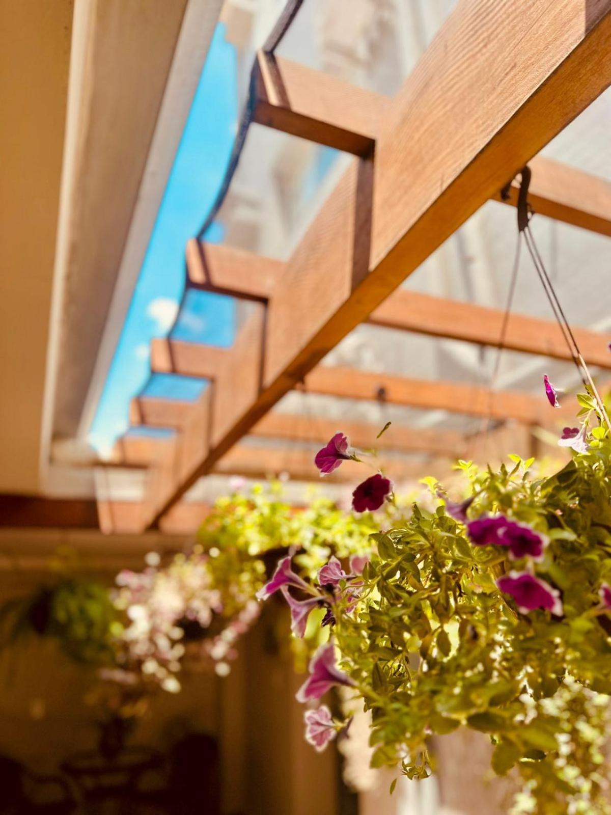 Skalla Hotel 노바 오데사 외부 사진